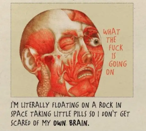 Stupid Bar Memes Qu9w0gG
