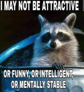 Stupid Bar Memes XyBWLpX