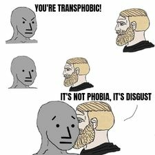 Stupid Bar Memes a344f8c2027bef7b
