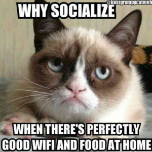 Stupid Bar Memes ae07b22b2a3b5400261e58cf63156914