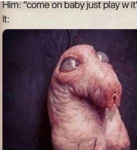 Stupid Bar Memes af09c3c4776988d5