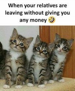 Stupid Bar Memes affa3a9f5a7a5c22