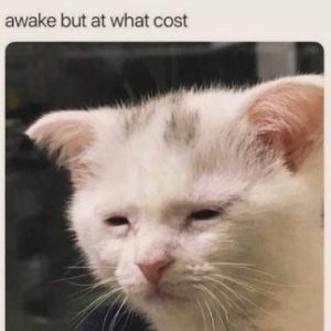 Stupid Bar Memes b38e8e05f41547f3