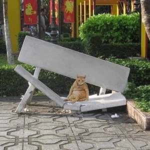 Stupid Bar Memes c809ff2287097d98