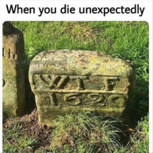 Stupid Bar Memes c9a4f5f534f18b33