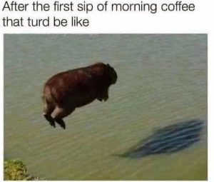 Stupid Bar Memes d9fc9d7bc943a992