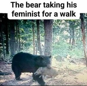 Stupid Bar Memes eb67c8ea503efa76