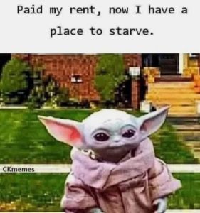 Stupid Bar Memes f430413e209b3e1e