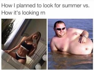Stupid Bar Memes f6b2d0b1c6a6ea1d