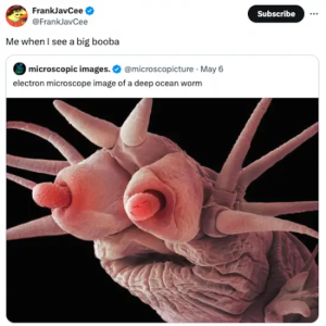 Stupid Bar Memes funnystweets2