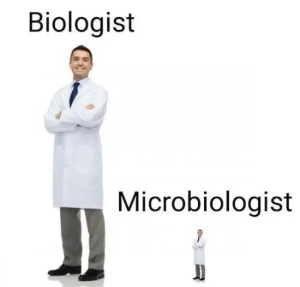 Stupid Bar Memes h1PGVvU