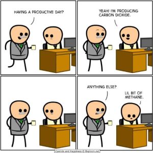 Stupid Bar Memes image000000 6