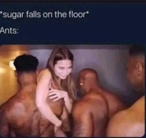 Stupid Bar Memes image000000 7