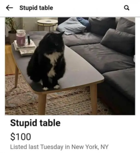 Stupid Bar Memes lHw53nx