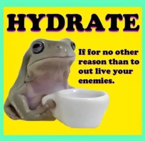 Stupid Bar Memes nHbVWsj