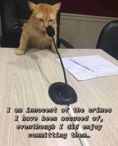 Stupid Bar Memes pJlIKp5