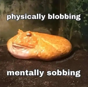 Stupid Bar Memes paCqs0X