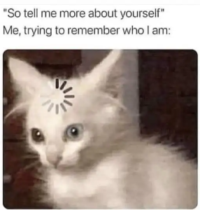 Stupid Bar Memes s