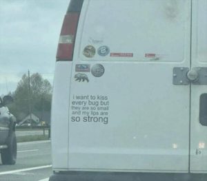 Stupid Bar Memes youresbumpersstickers