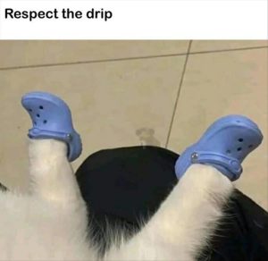 Stupid Bar Memes youresdripping
