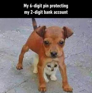 Stupid Bar Memes yourespin