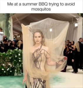 Stupid Bar Memes youressummersbbq
