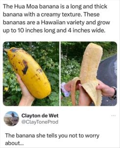 Stupid Bar Memes youreswantingsthesbannana
