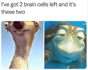 Stupid Bar Memes youreswantingsthescells