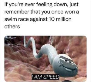 Stupid Bar Memes youreswantingstosfeelsbetter