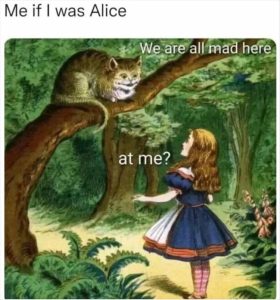 Stupid Bar Memes zsfuns22s6