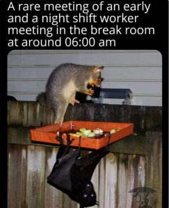 Stupid Bar Memes zsfuns240