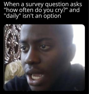 Stupid Bar Memes zsfuns259s1