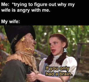 Stupid Bar Memes zsfuns277
