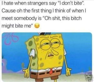 Stupid Bar Memes zsfuns321