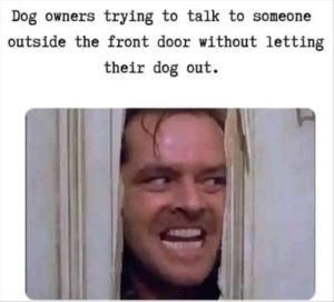 Stupid Bar Memes zsfuns344