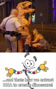 Stupid Bar Memes zsfuns66s6