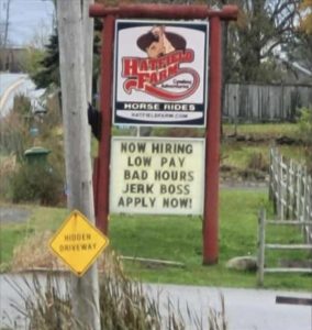 Stupid Bar Memes zsmemess194