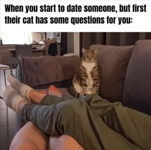 Stupid Bar Memes zsmemess55