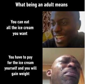 Stupid Bar Memes zys127