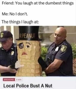 Stupid Bar Memes zys233