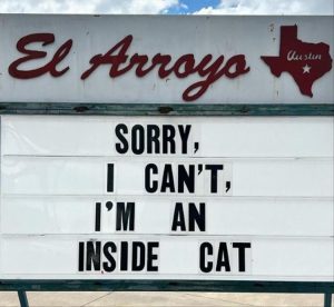 Stupid Bar Memes zys314