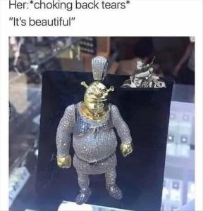 Stupid Bar Memes zys67