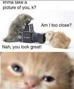 Stupid Bar Memes 10b609cce74c14c5