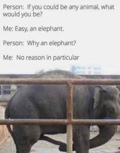 Stupid Bar Memes 1149547af0509a8e