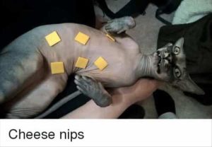 Stupid Bar Memes 11s18