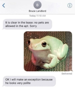 Stupid Bar Memes 21240524meme.jpegs1s618x729