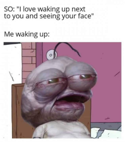 Stupid Bar Memes 23jMUsJsd