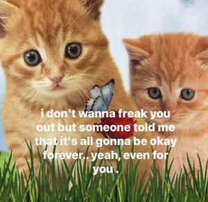 Stupid Bar Memes 24300524meme.jpegs618x599
