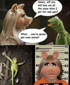 Stupid Bar Memes 2453c2c6d613b2ea