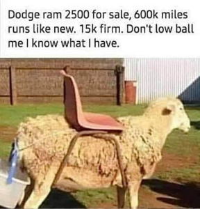 Stupid Bar Memes 27ba9181dcd0e5bd